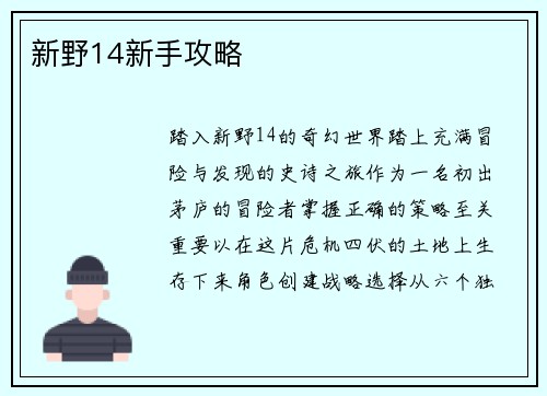 新野14新手攻略